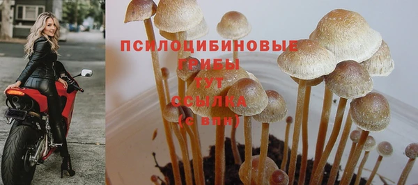 дмт Покров