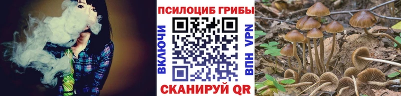 Галлюциногенные грибы Psilocybine cubensis  Алексеевка 