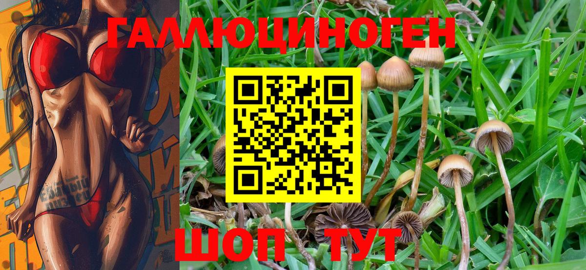 Псилоцибиновые грибы Psilocybe  Алексеевка  Псилоцибиновые грибы ЛСД 