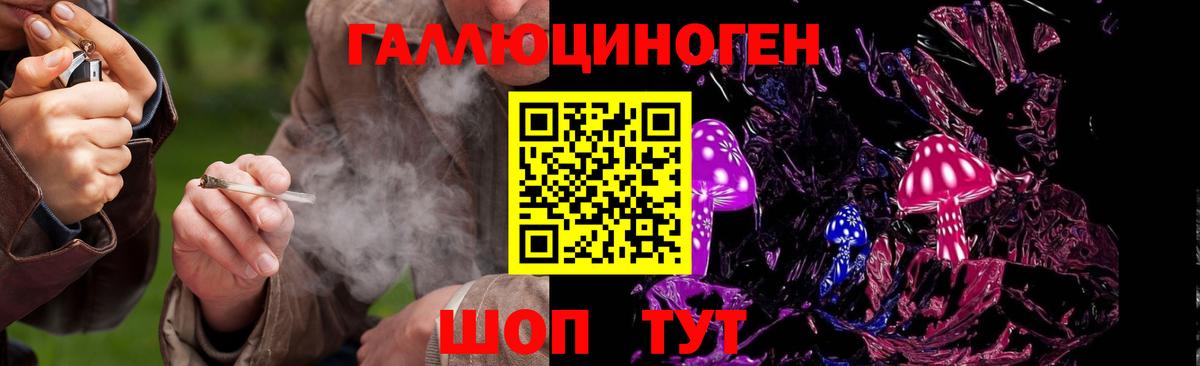 Галлюциногенные грибы Psilocybine cubensis Алексеевка