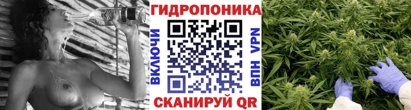 Каннабис OG Kush  Алексеевка 